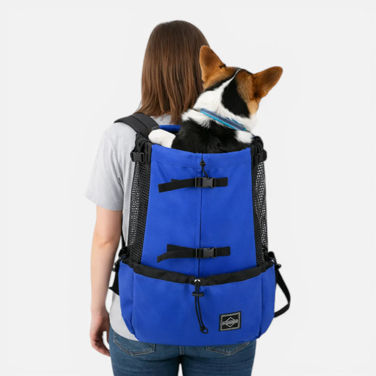 Ma boutique Sac Porte Chien Randonnée