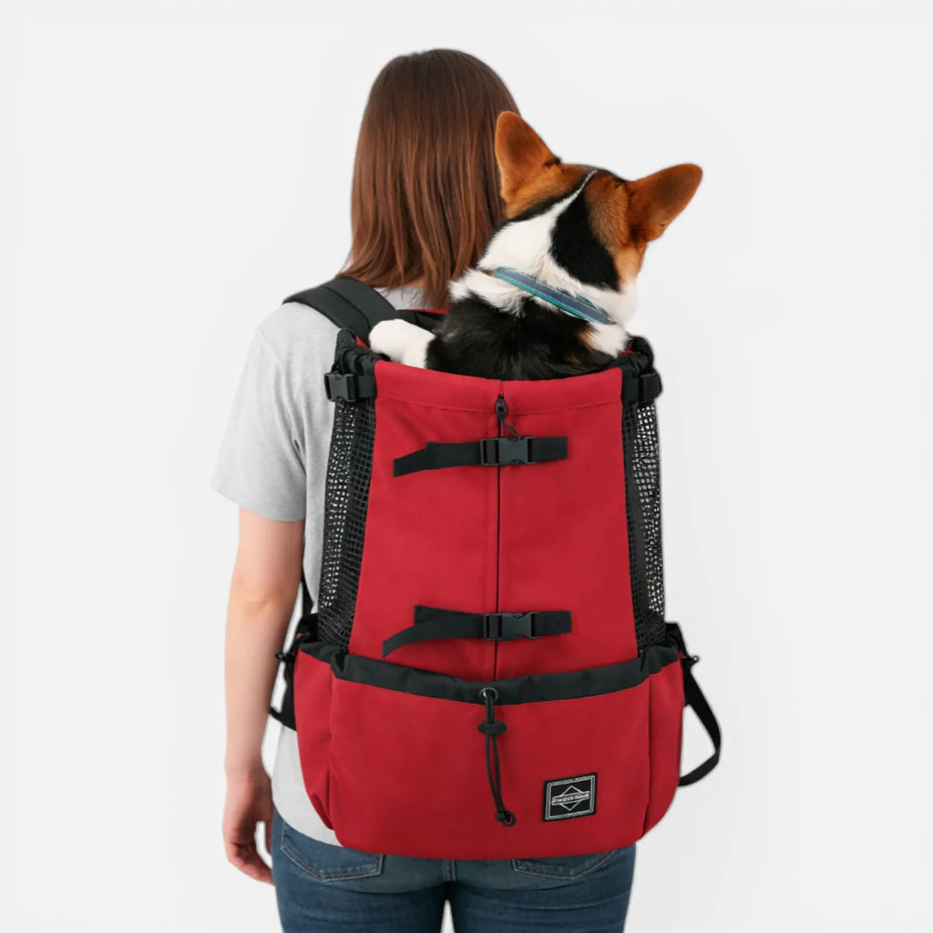 Ma boutique Sac Porte Chien Randonnée